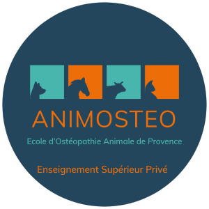 Animosteo Logo